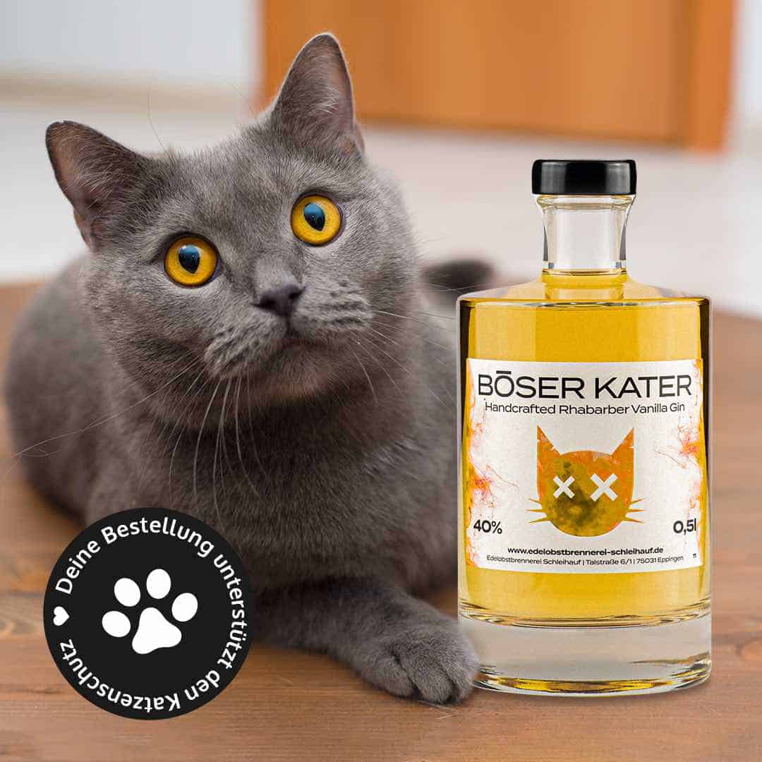 Böser Kater Rhabarber Vanilla Gin mit Katze