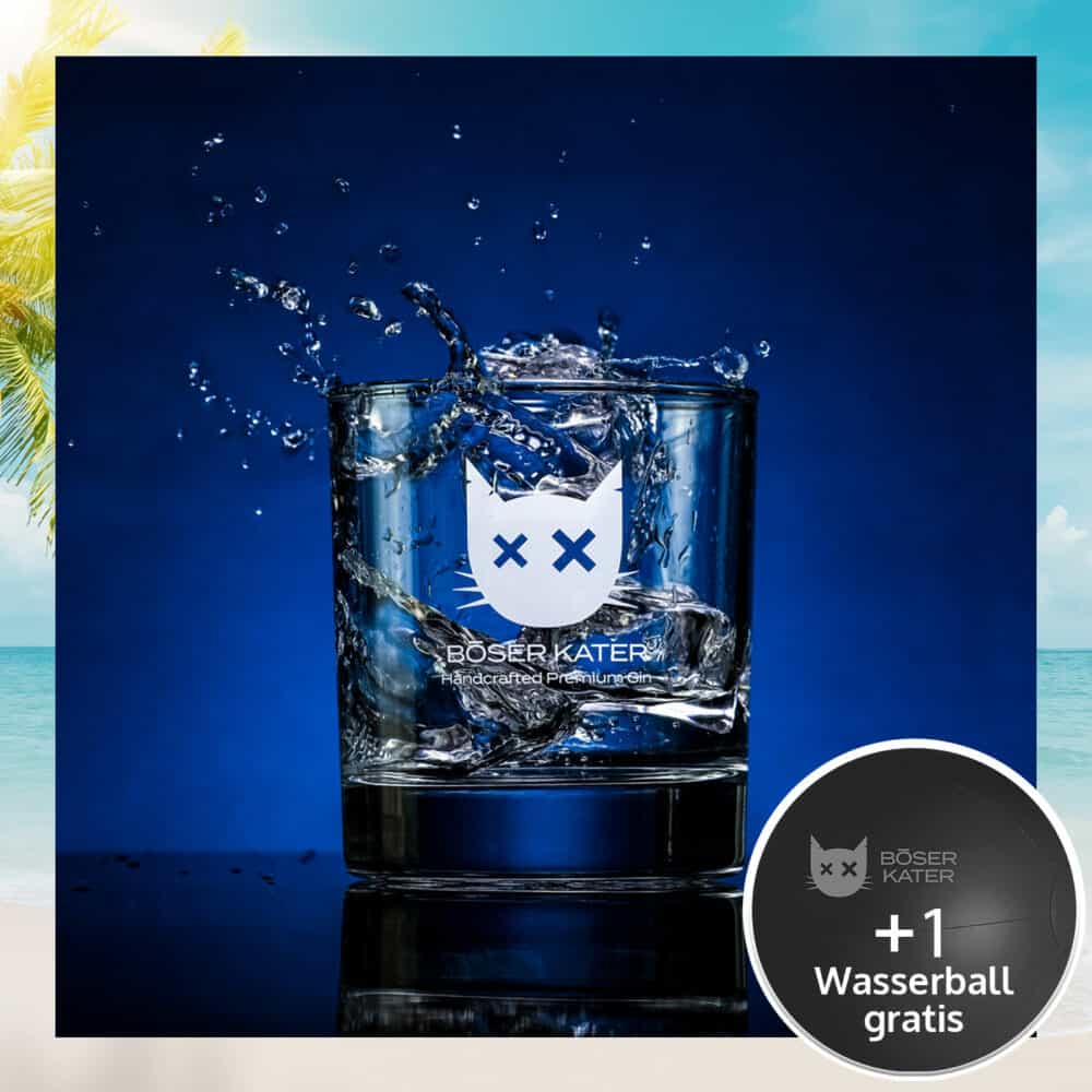 Böser Kater Tumbler Cocktail Gläser für Gin, Whisky, Rum & Vodka