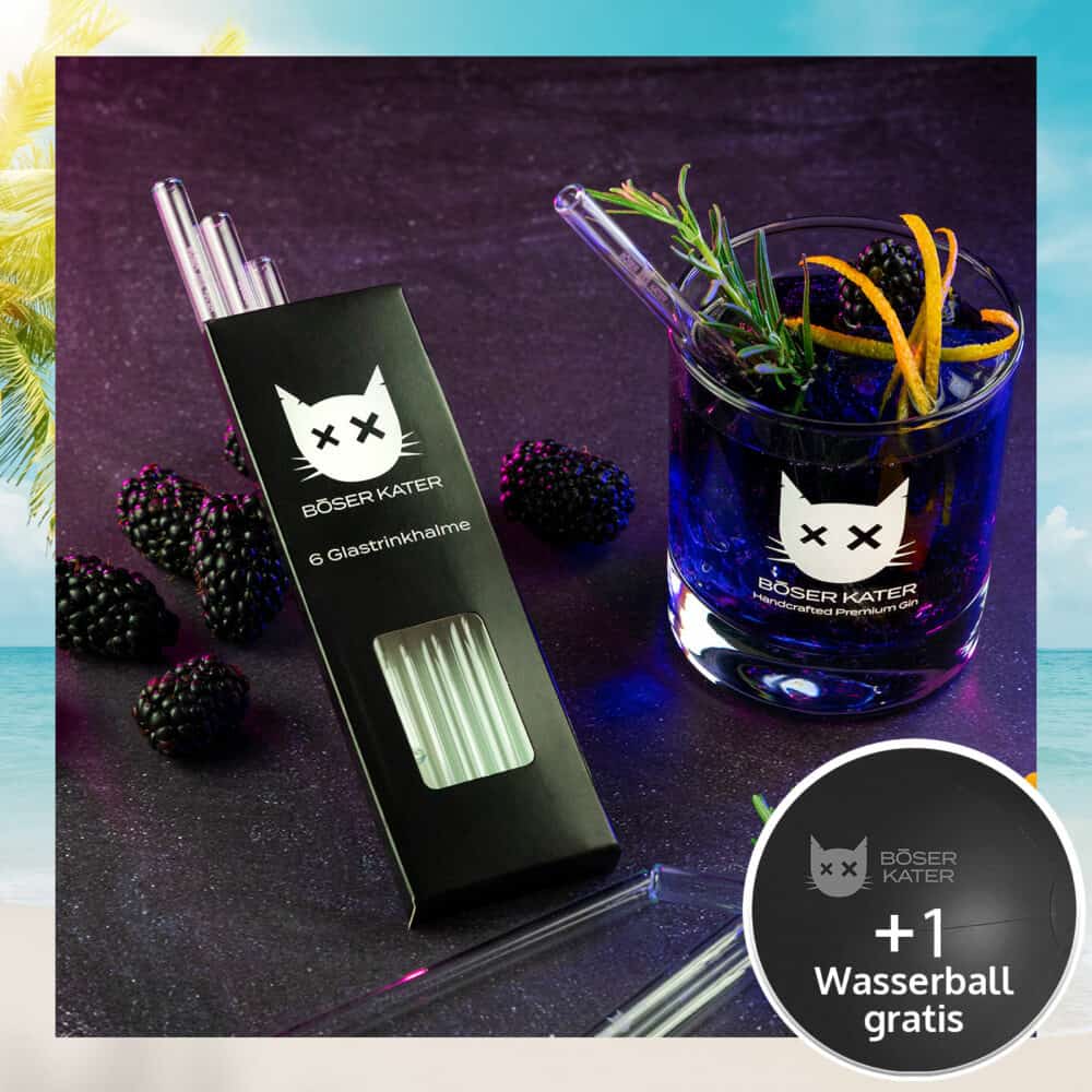 Böser Kater Glastrinkhalme (6 Stück)