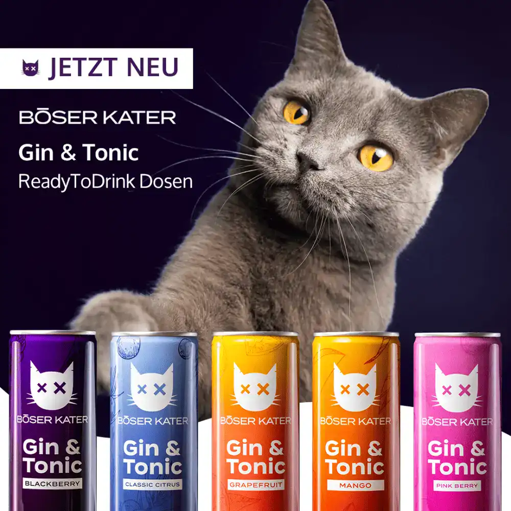 BöserKater Gin Tonic alle Dosen