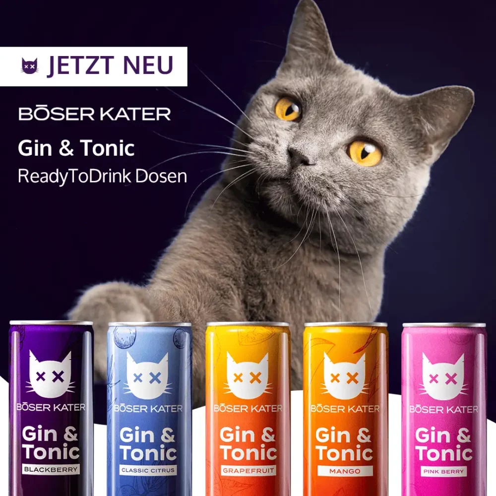 BöserKater Gin Tonic alle Dosen