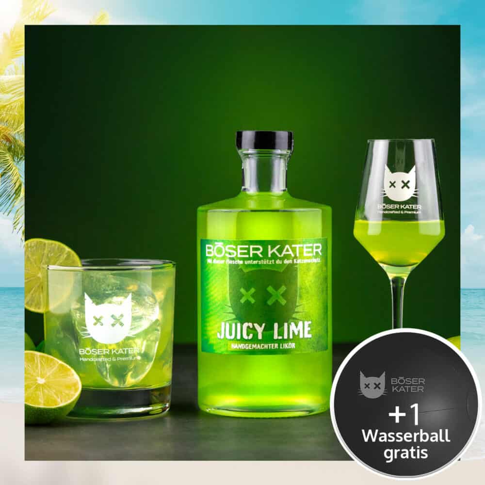 Böser Kater Juicy Lime Limetten Likör 17%