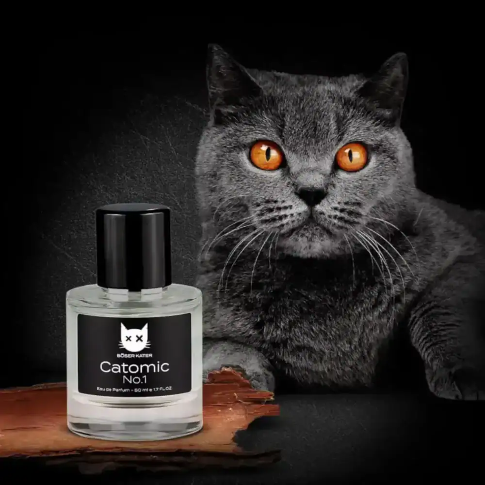Böser Kater Catomic