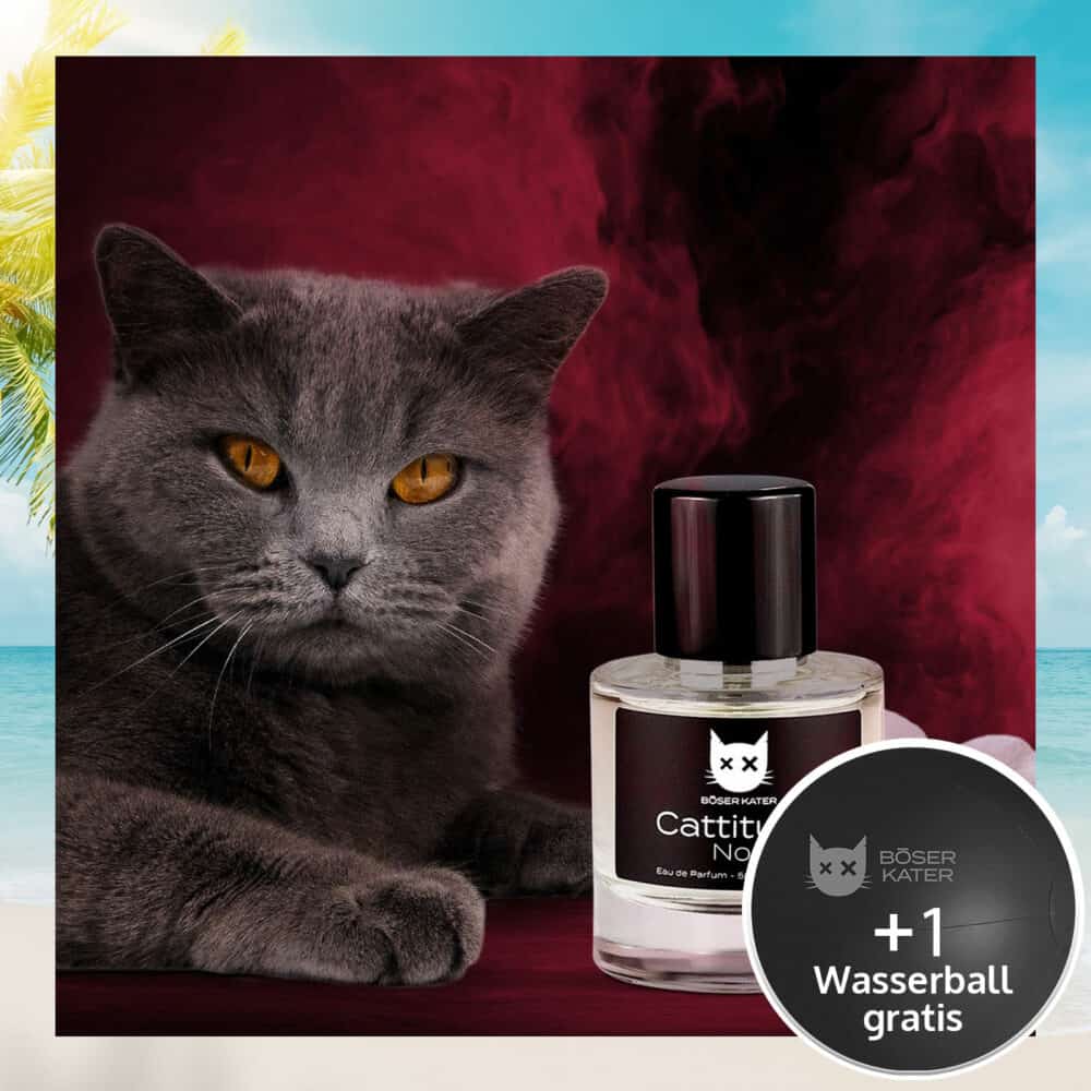 Böser Kater Eau de Parfum Cattitude No. 1 Damenduft