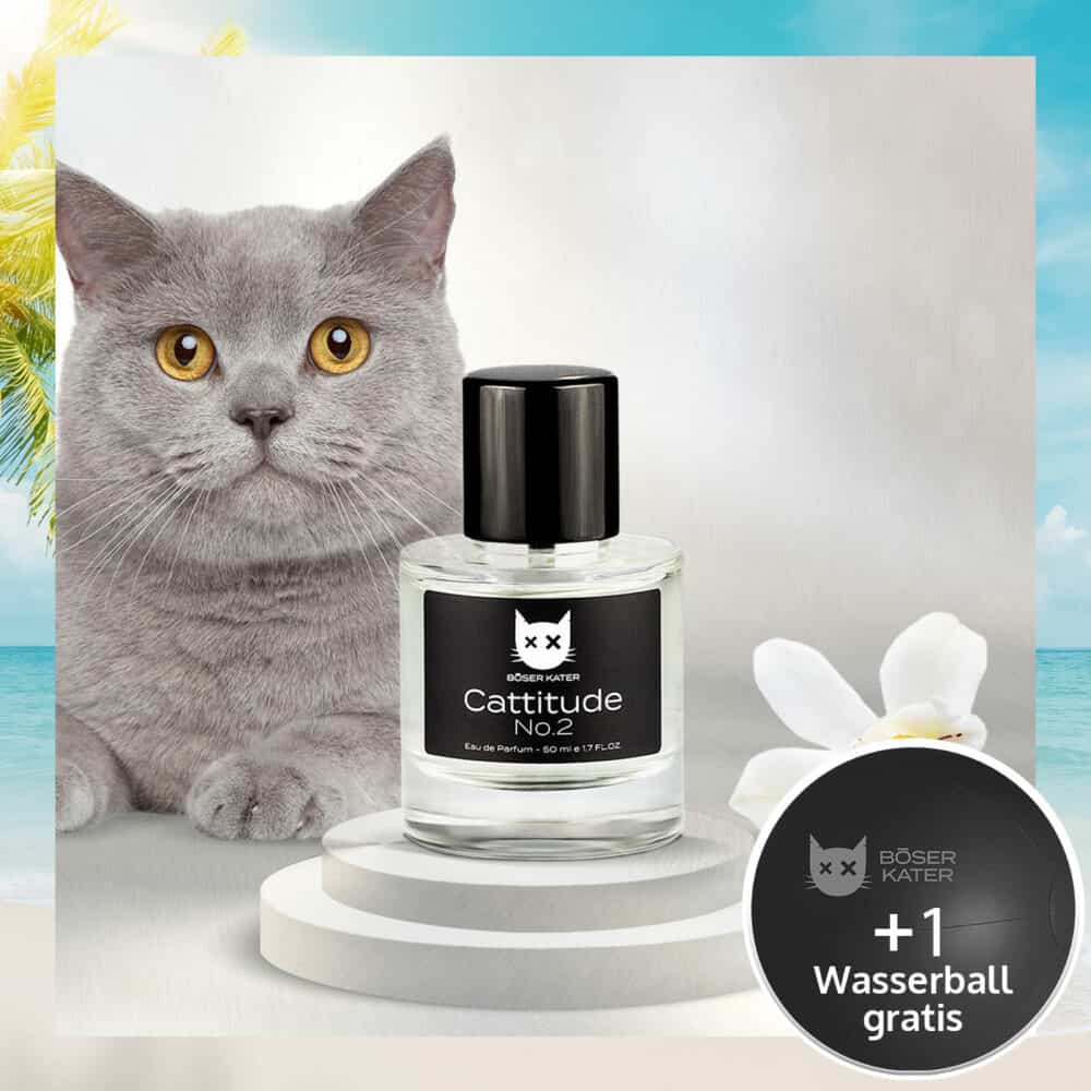 Böser Kater Eau de Parfum Cattitude No. 2 Damenduft