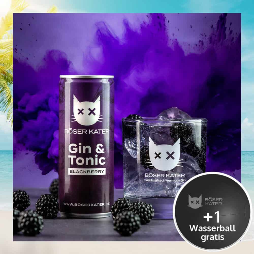 Böser Kater Blackberry Gin & Tonic ReadyToDrink Dose 250ml 10% Vol.