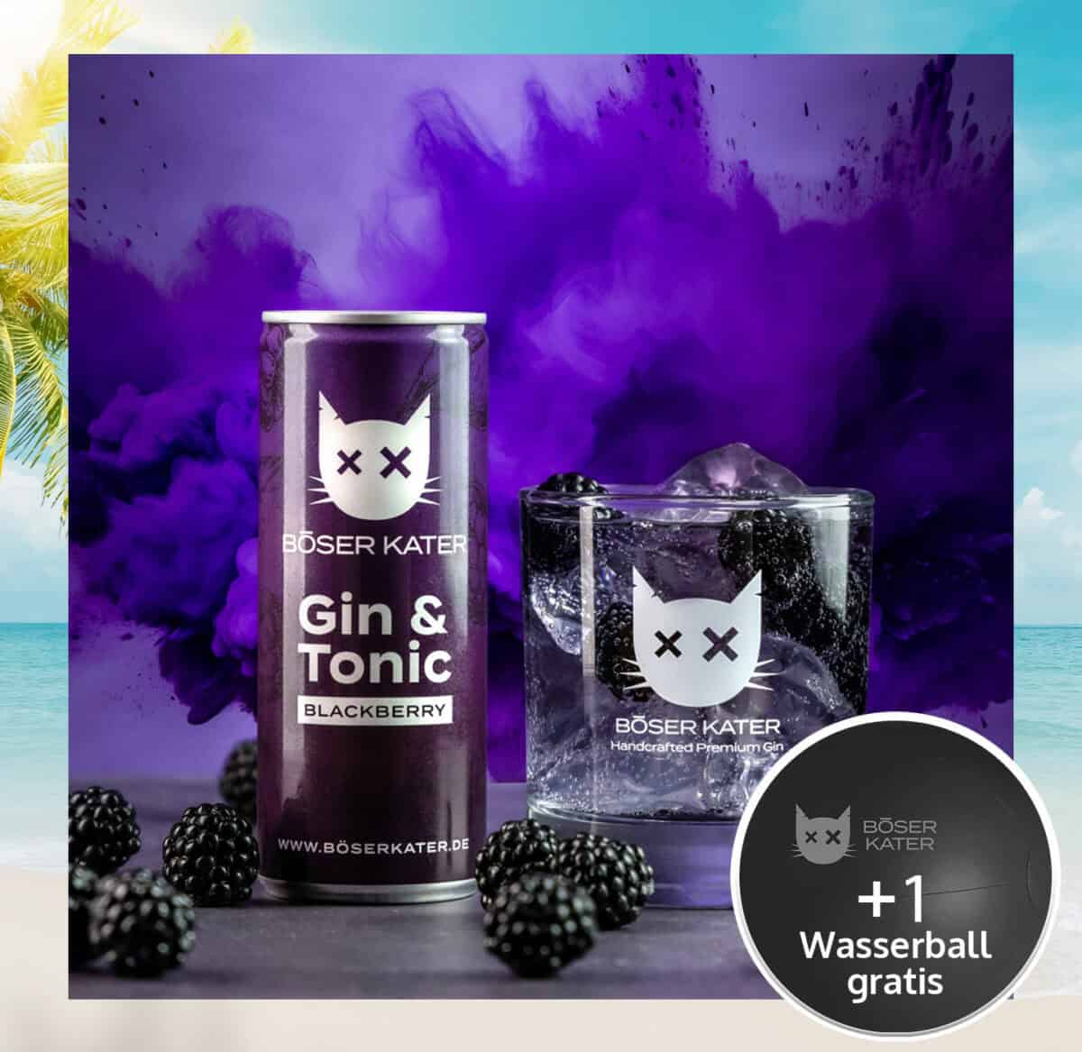 Böser Kater Blackberry Gin & Tonic ReadyToDrink Dose 250ml 10% Vol.
