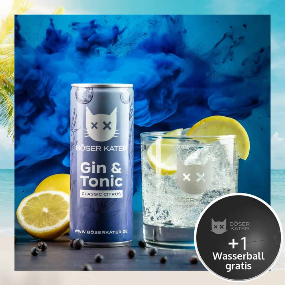 Böser Kater Classic Citrus Gin & Tonic ReadyToDrink Dose 250ml 10% Vol.