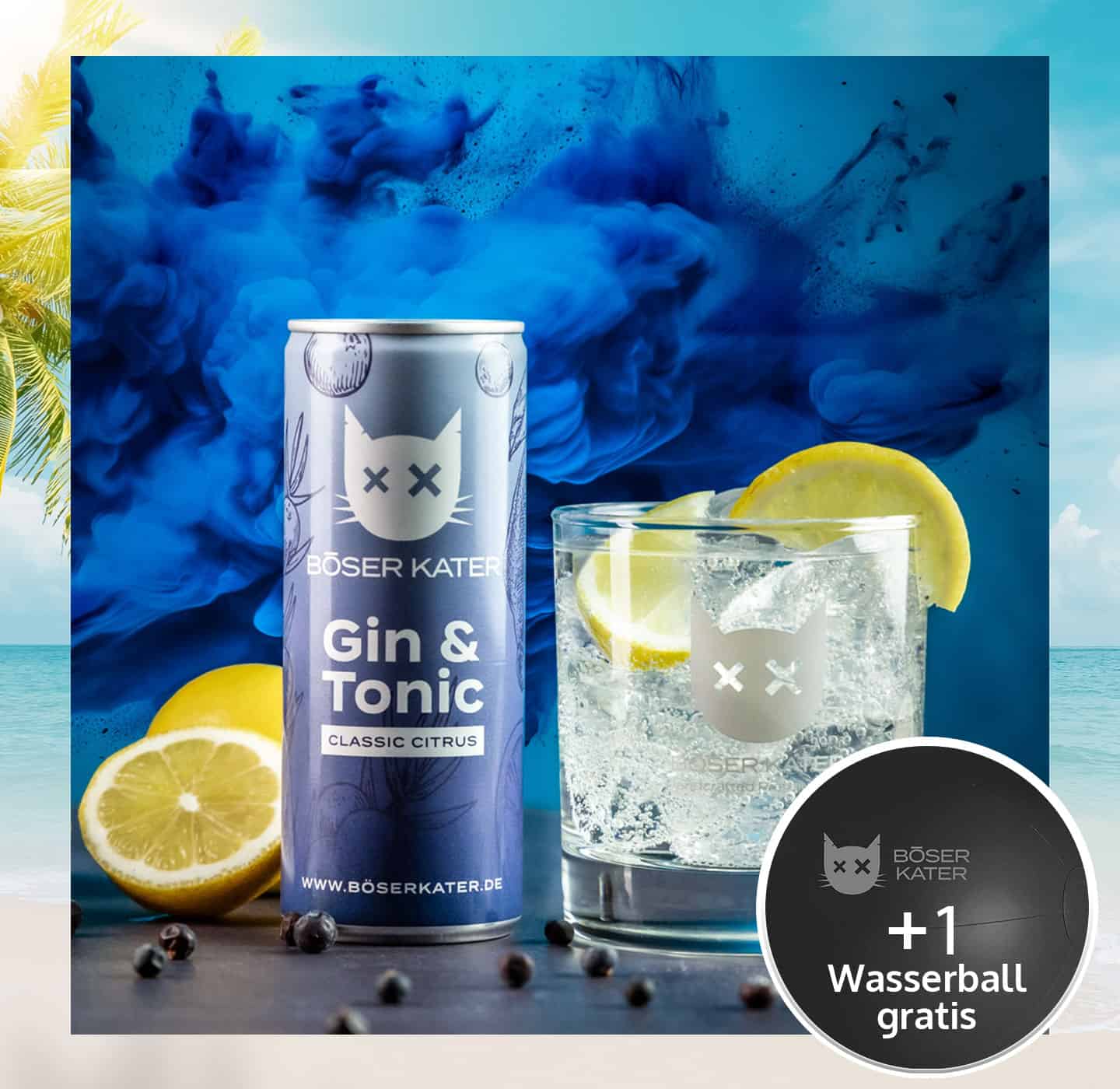 Böser Kater Classic Citrus Gin & Tonic ReadyToDrink Dose 250ml 10% Vol.