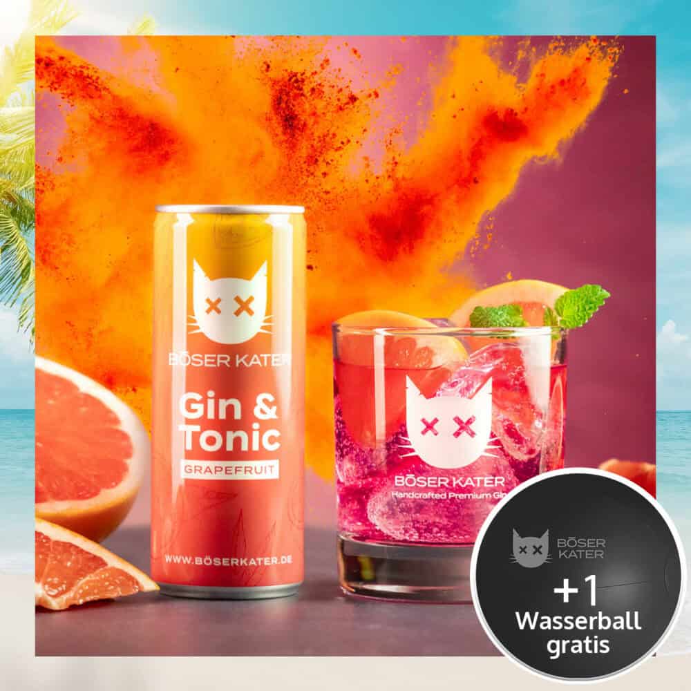 Böser Kater Grapefruit Gin & Tonic ReadyToDrink Dose 250ml 10% Vol.
