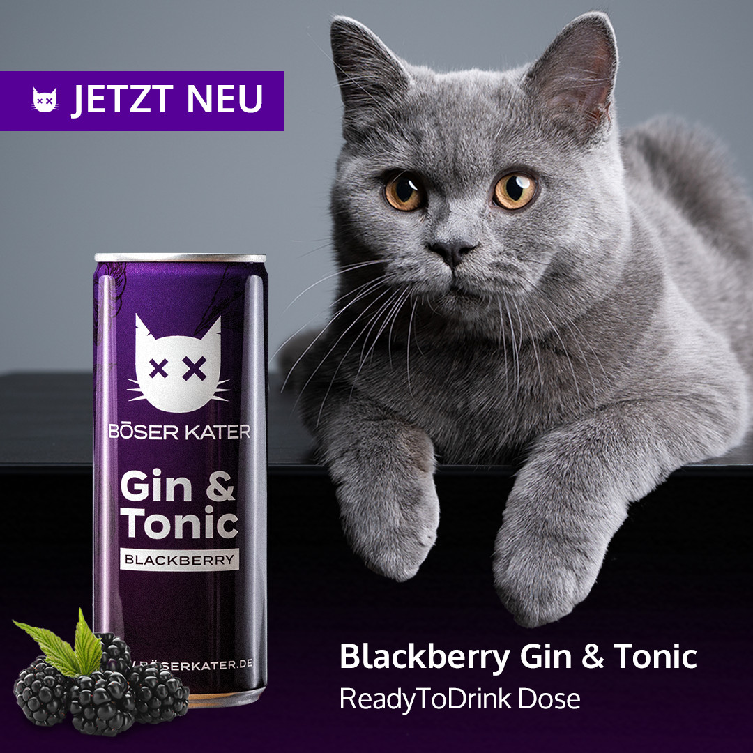 Böser Kater Blackberry Gin & Tonic ReadyToDrink Dose 250ml 10% Vol. – Bild 3
