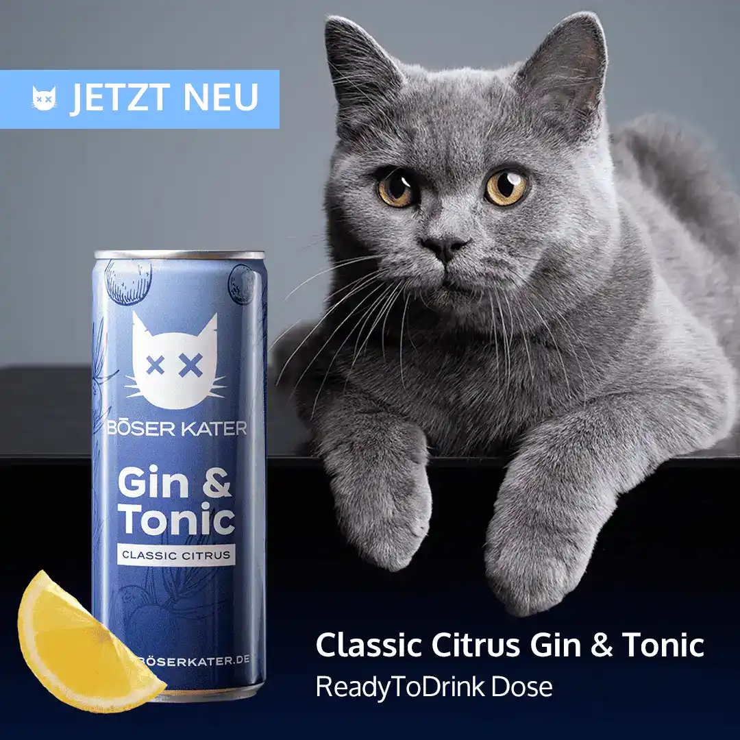 ILA_BoeserKater_GinTonicDosen_News_Produkt_Classic
