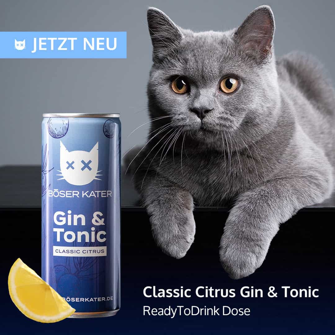 Böser Kater Classic Citrus Gin & Tonic ReadyToDrink Dose 250ml 10% Vol. – Bild 3