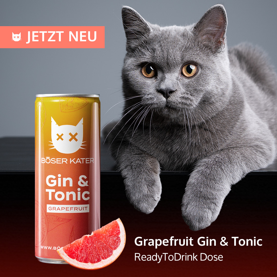 Böser Kater Grapefruit Gin & Tonic ReadyToDrink Dose 250ml 10% Vol. – Bild 3