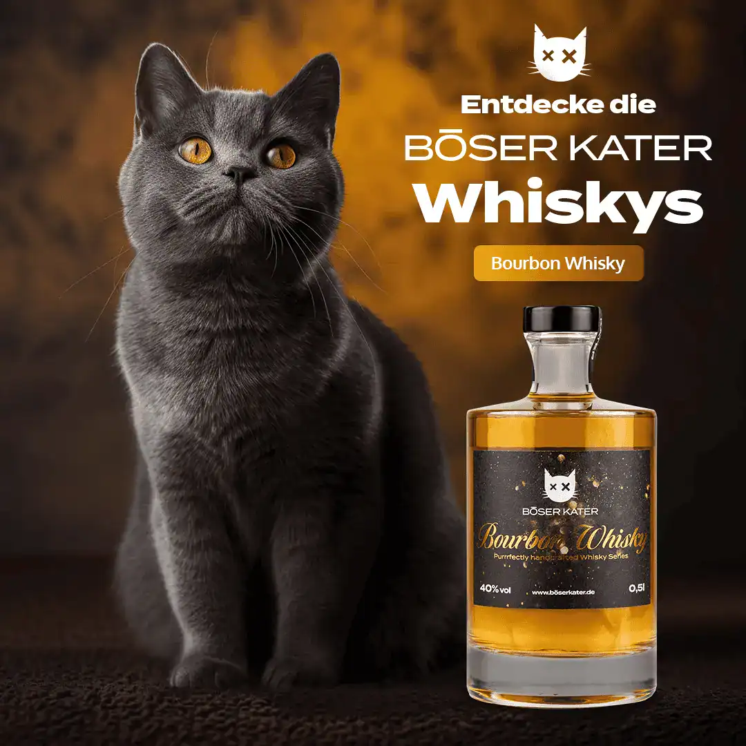 ILA_BoeserKater_Whisky_Bourbon_News_Mood