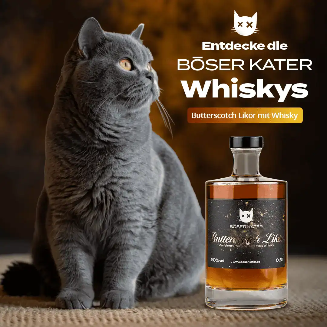 ILA_BoeserKater_Whisky_Butterscotch_News_Mood