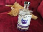 Böser Kater Dragonfruit Blueberry Gin 40% Vol.