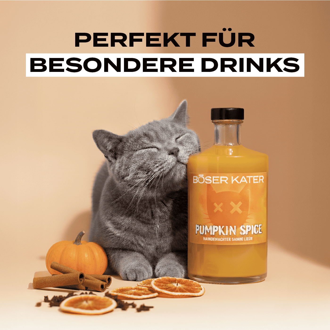 Böser Kater Pumpkin Spice Sahne Likör | Limited Edition 15% Vol. – Bild 4