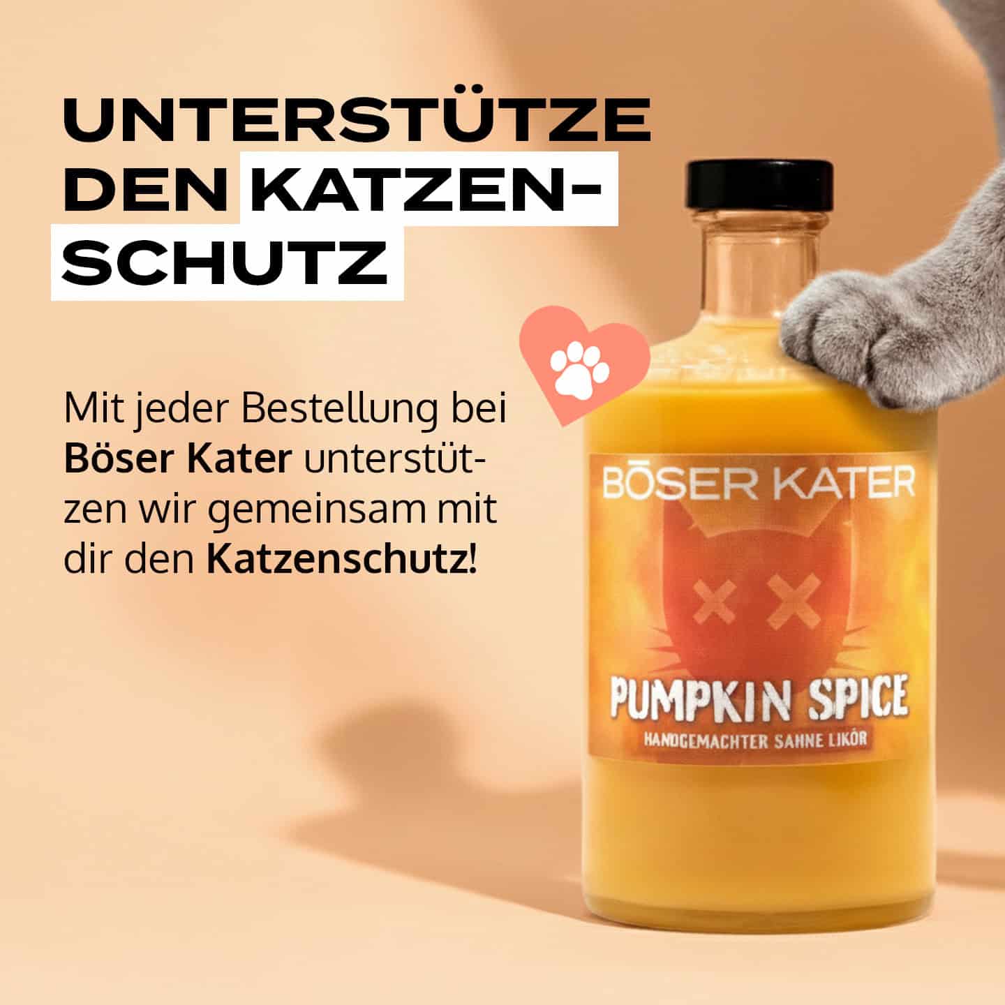 Böser Kater Pumpkin Spice Sahne Likör | Limited Edition 15% Vol. – Bild 6