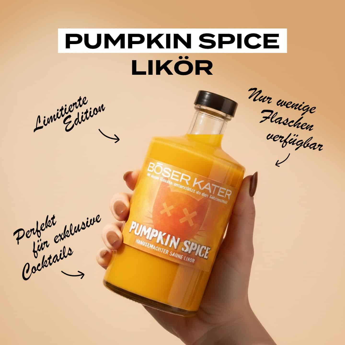 Böser Kater Pumpkin Spice Sahne Likör | Limited Edition 15% Vol. – Bild 5