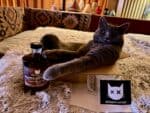 Böser Kater RUMbazamba Caramel Toffee 40% Vol.