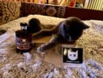 Böser Kater RUMbazamba Caramel Toffee 40% Vol.