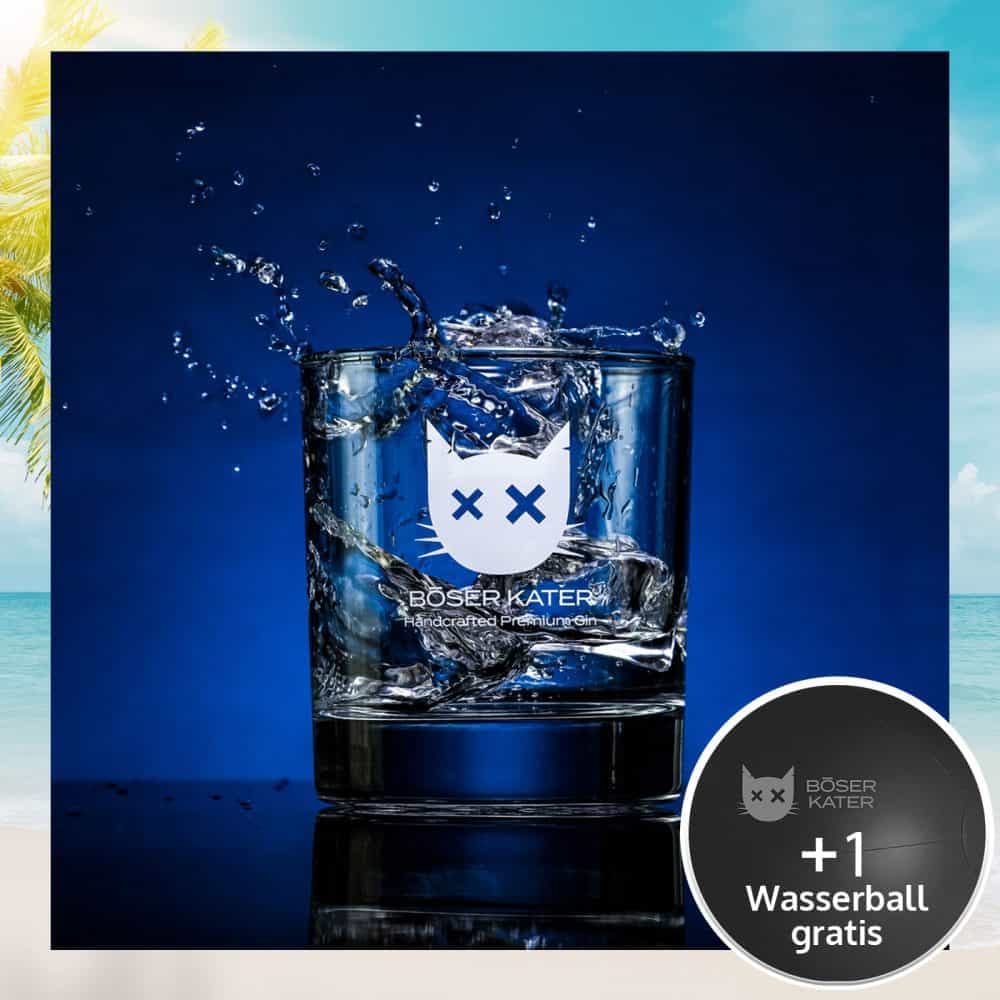 Böser Kater Tumbler Cocktail Gläser für Gin, Whisky, Rum & Vodka