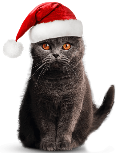 Rüdiger-Weihnachten